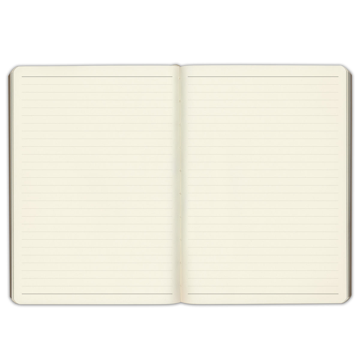 Desk Leather Journal opened to the notes pages